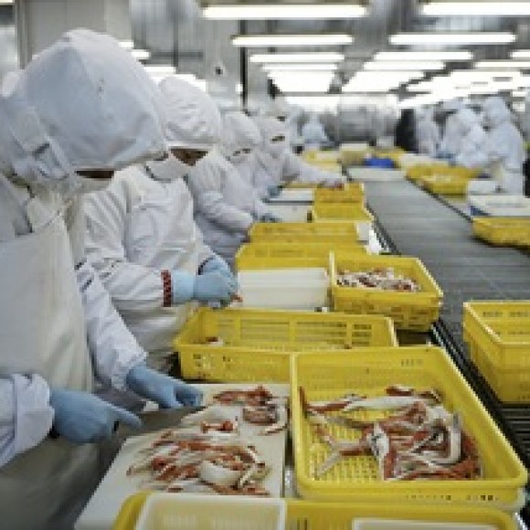 Profile picture of Hong Kong Investment Fund Manager - storyID fnf4003