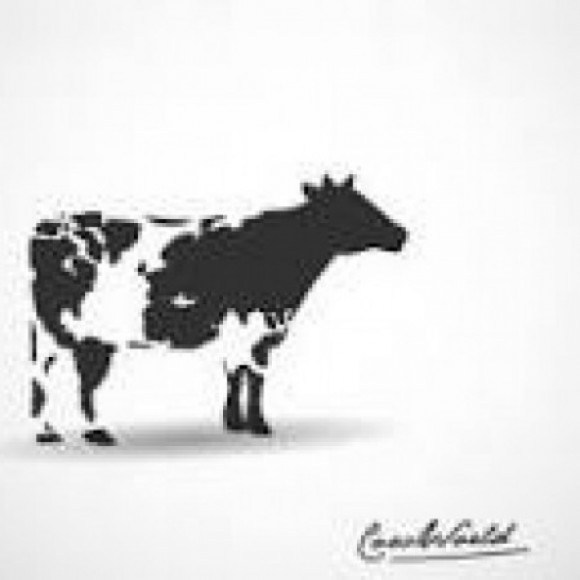 Profile picture of Milk Dairy Property Conversion in Tasmania - storyID fnf4005