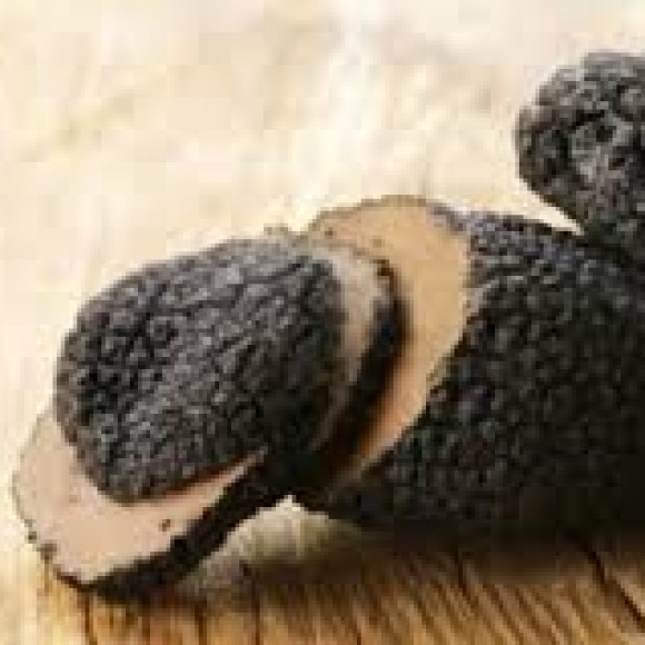 Profile picture of Australia Truffle Developer Seeks Distribution & Investment Relationships - storyID 4021
