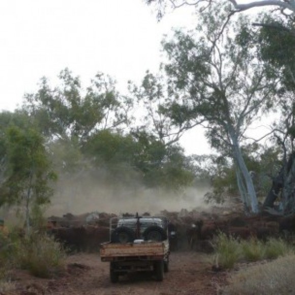 Profile picture of Northern Territory Freehold Land Owned by Traditional Owners - storyID fnf4011