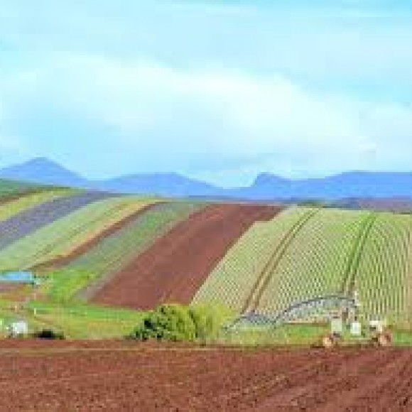 Profile picture of Vegetable Farm Owner Operator in Tasmania Seeks Equity Partner - storyID 4042