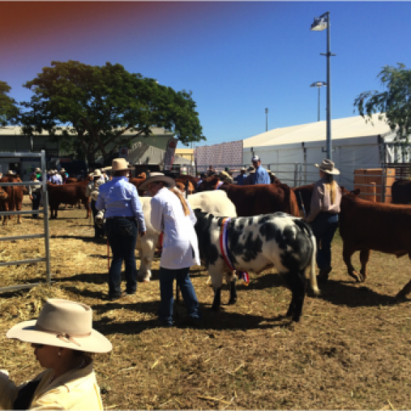 Profile picture of Experienced Agribusiness Consultant – Specialist in corporate and large scale operations - storyID fnf4016