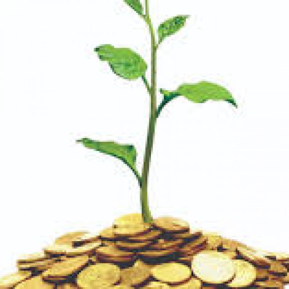 Profile picture of Agri Fund in Hong Kong Seeks Australia food business – storyID 8890