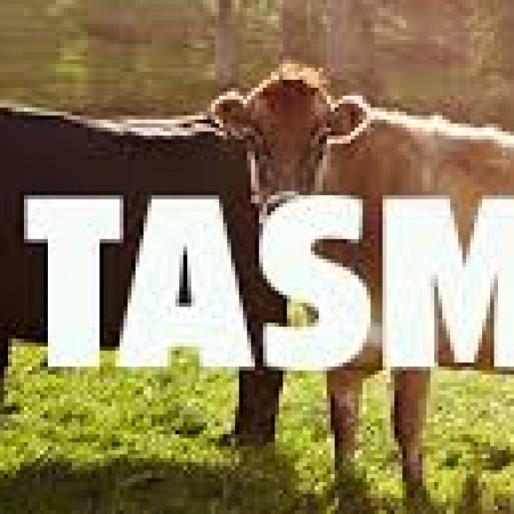 Profile picture of Tasmania Craft Milk Brand Founder Seeks Business Partners - storyID 4098