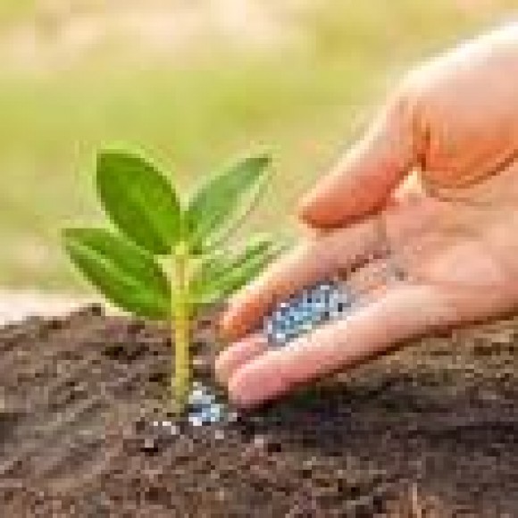 Profile picture of We have designed a Mobile Fertilizer Plant - storyID fnf4031